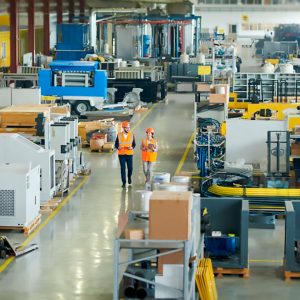 MINHOVIDA-Apoio-Certificacao